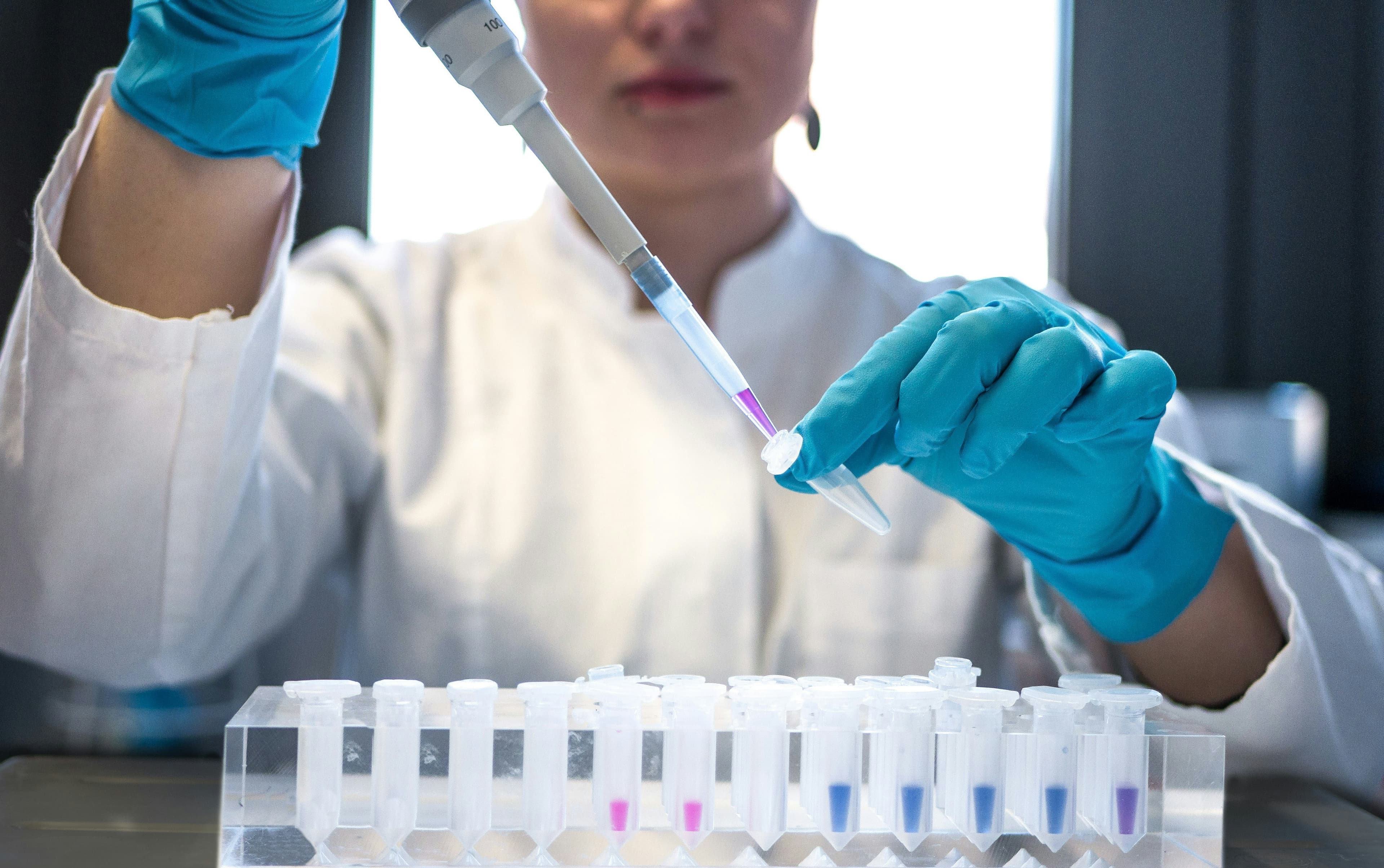 A scientist using a pipette with test tubes in a lab