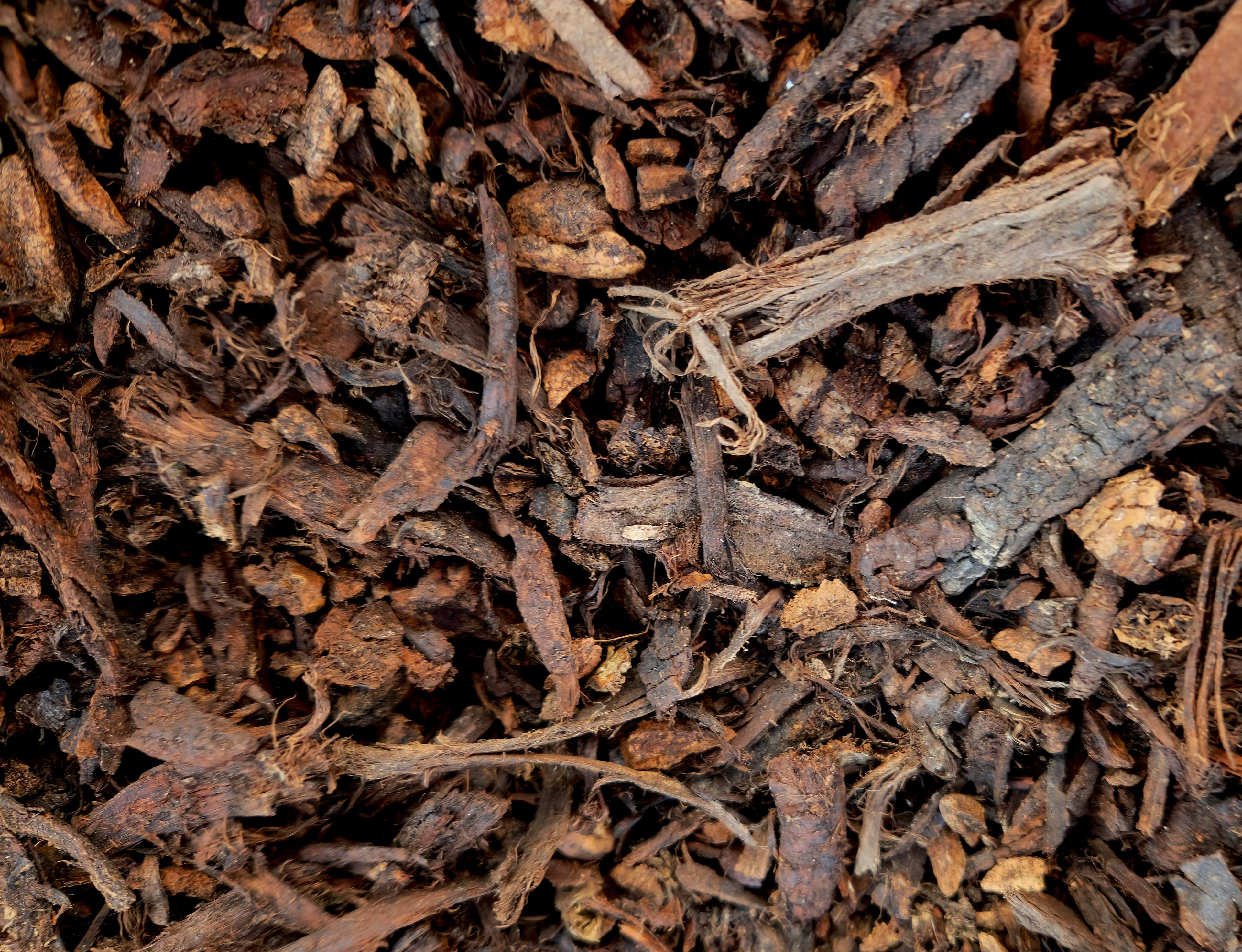 Close-up of a pile of wood chips