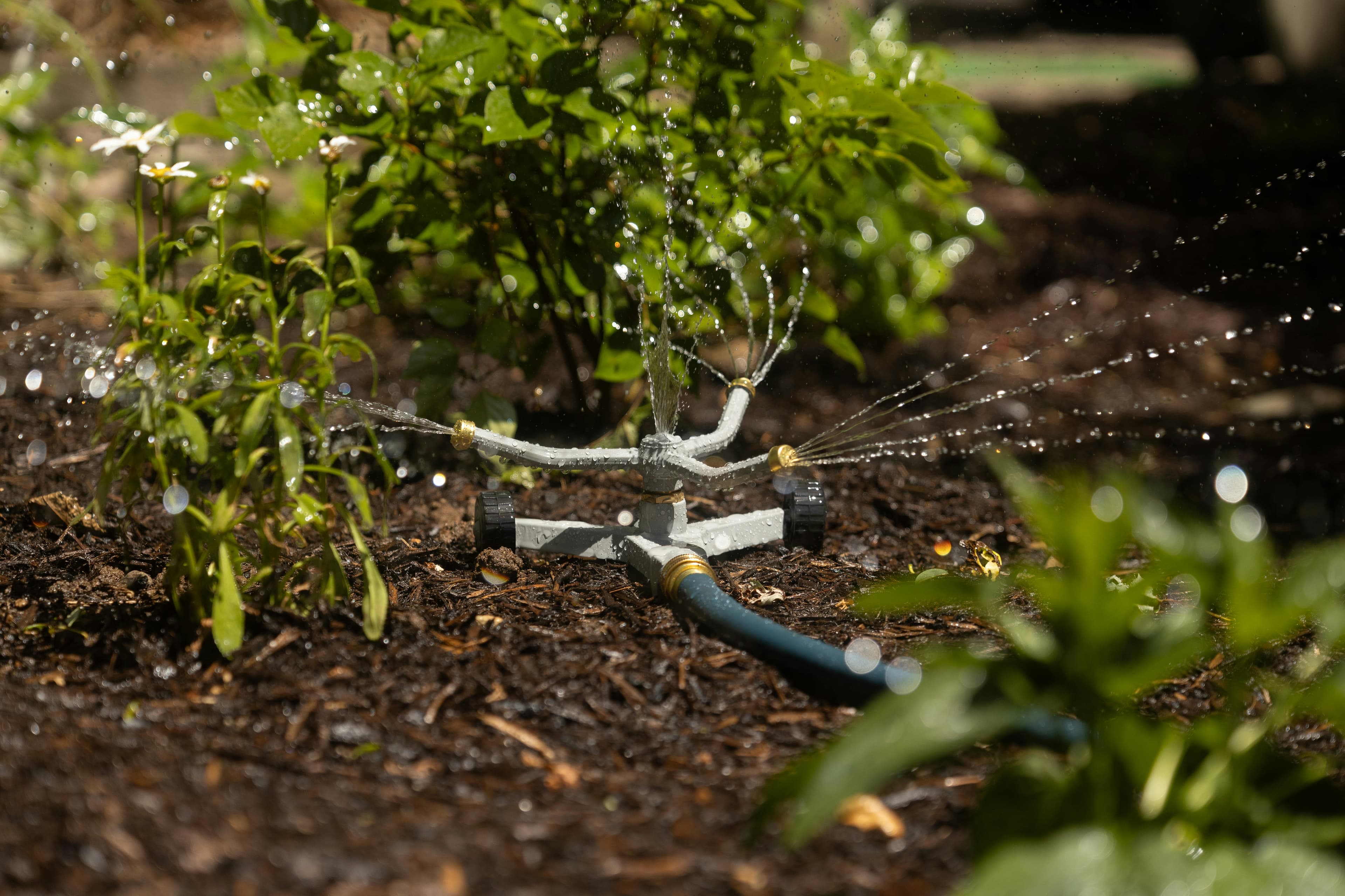 A garden sprinkler spraying water onto plants