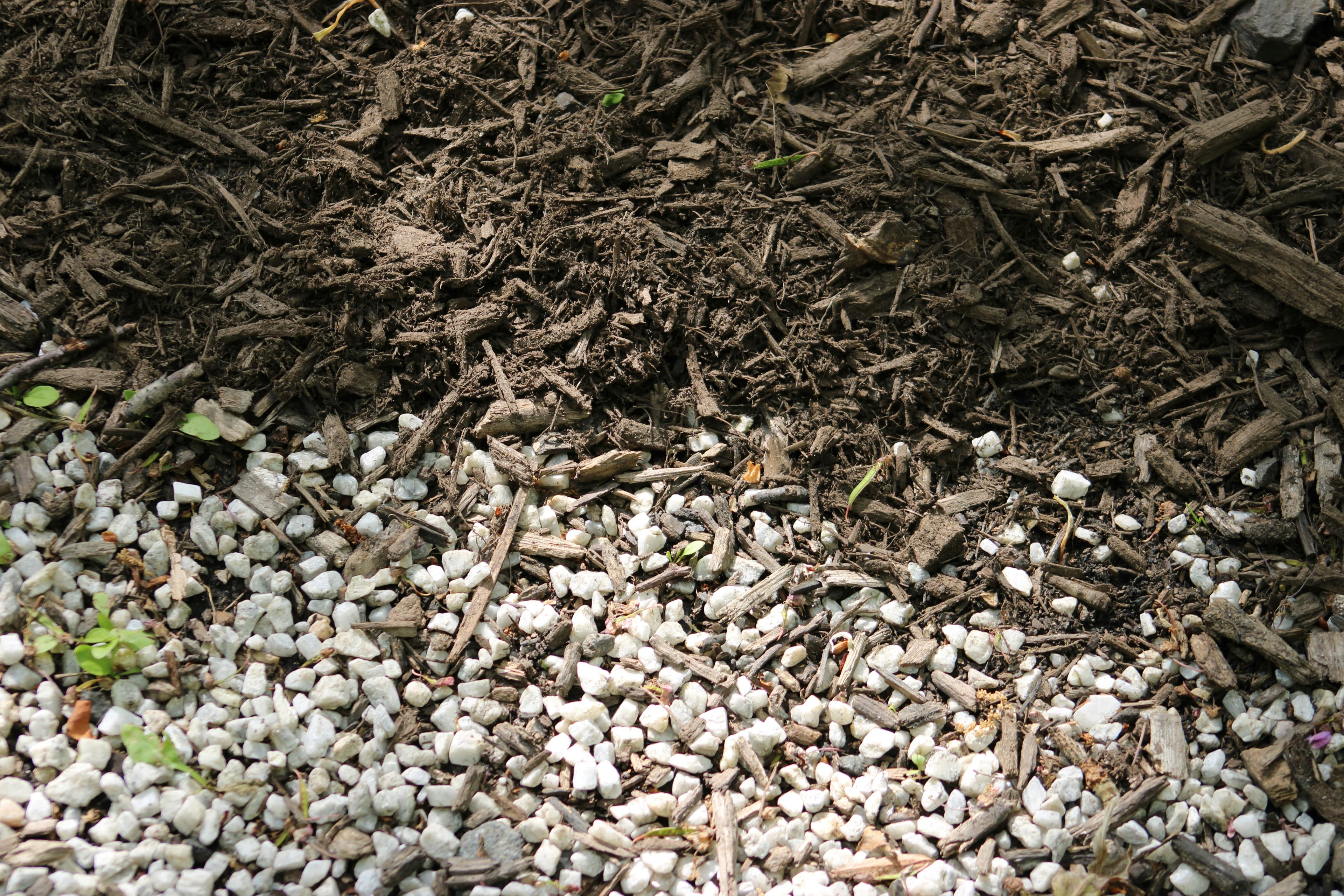 Border between dark brown wood mulch and white landscaping stones